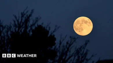 Supermoon dazzles with a halo in the night sky
