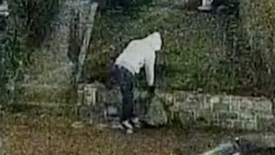 Suspect arrested in January 6 DC pipe bomb case