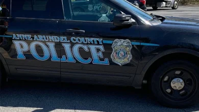 Suspect walking on crutches helps group steal car in Anne Arundel County, police say