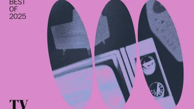 The 10 best TV shows of 2025