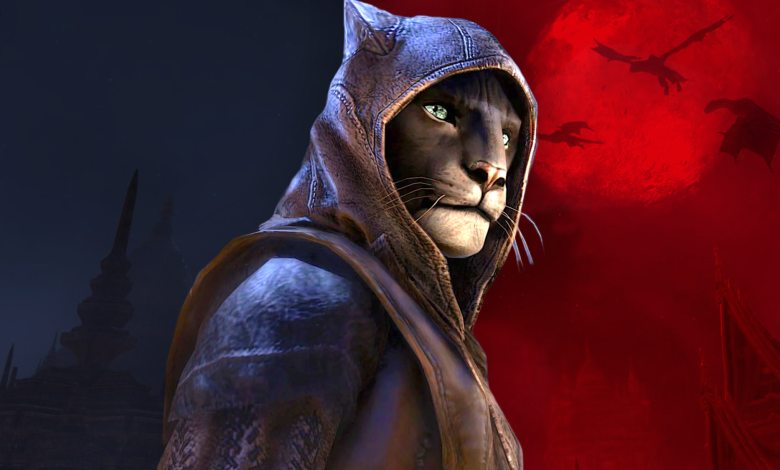 The Elder Scrolls 6 Report Gives Update on Release Date