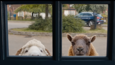 'The Sheep Detectives' trailer is shear audacity and I'm all in