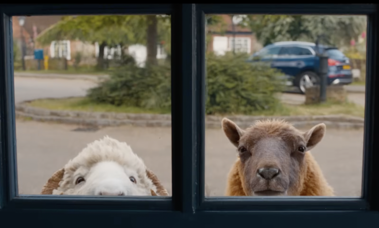 'The Sheep Detectives' trailer is shear audacity and I'm all in