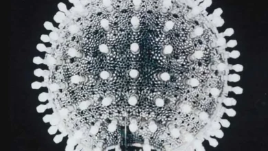 The history of the New Year's Eve ball drop