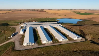 The mysterious death of a teen at Pillen Family Farms