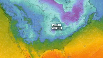 The polar vortex broke; what that means for your weather