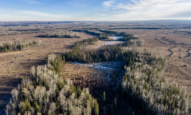 The truth about Wonder Valley, Kevin O’Leary’s data-centre dream