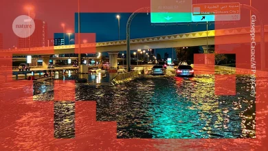 This AI model ‘studied’ physics — and learnt to forecast extreme weather