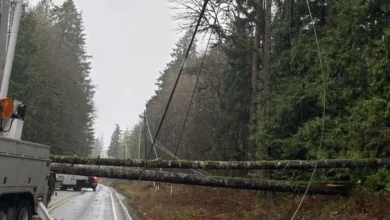 Thousands without power across Washington