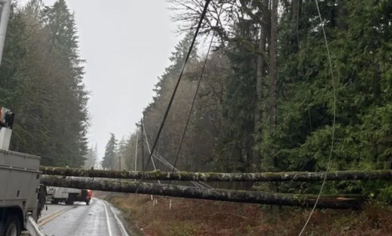 Thousands without power across Washington