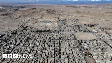 Three Americans killed by IS gunman in Syria, US military says