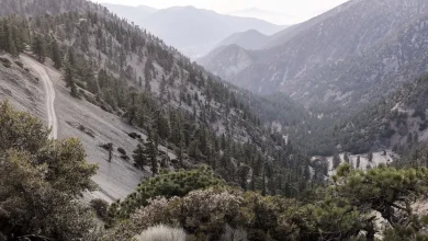 Three hikers found dead near popular Southern California trail