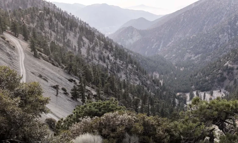 Three hikers found dead near popular Southern California trail