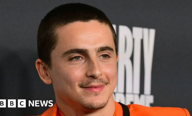 Timothée Chalamet teams up with EsDeeKid to quash alter-ego rumours