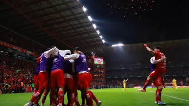 Toluca se coronó campeón del Comprensión de la Ajonje MX con triunfo por penales sobre Tigres