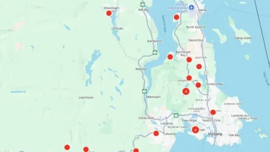Trees down: Hydro reports 5,500 without power across South Island