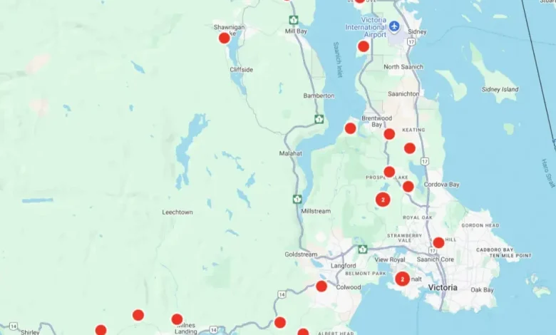 Trees down: Hydro reports 5,500 without power across South Island