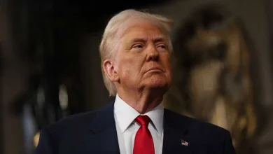 Trump Lifts Marijuana Stocks On Reports Imminent Executive Order Will Loosen Federal Restrictions