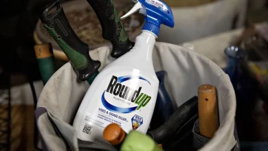 Trump Official Urges Supreme Court to Take Bayer Roundup Appeal - Bloomberg.com