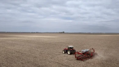 Trump administration announces $12 billion in one-time payments to farmers : NPR