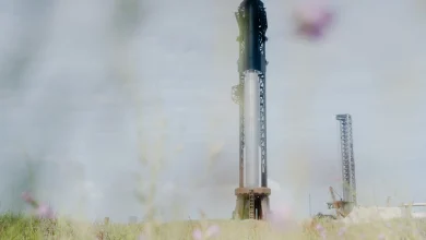 Trump administration weighs South Texas land swap with SpaceX