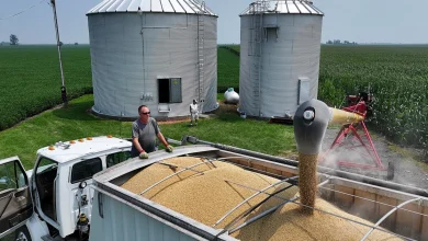 Trump announces $12 billion in aid to farmers