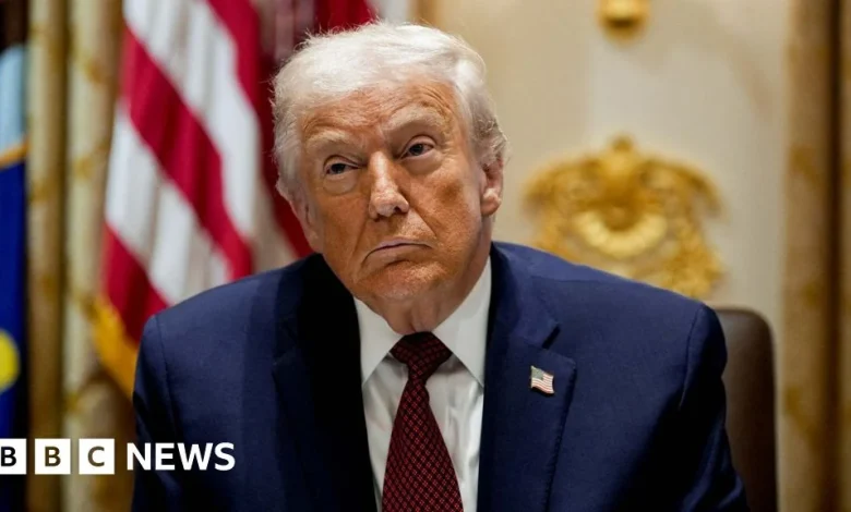 Trump criticises 'decaying' European countries and 'weak' leaders