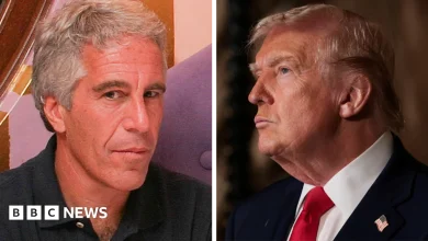 Trump listed as passenger on eight flights on Epstein’s private jet, according to latest release - live updates