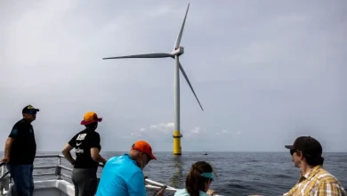 Trump suspends all large offshore wind farms under construction, threatening thousands of jobs and cheaper energy