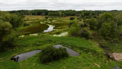 Trump’s EPA wants to narrow the scope of federal water protections. What does that mean in Minnesota? - MPR News