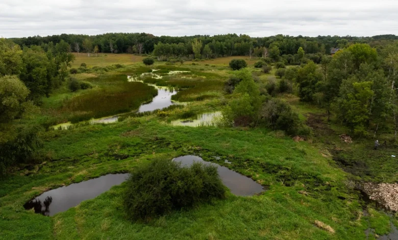 Trump’s EPA wants to narrow the scope of federal water protections. What does that mean in Minnesota? - MPR News