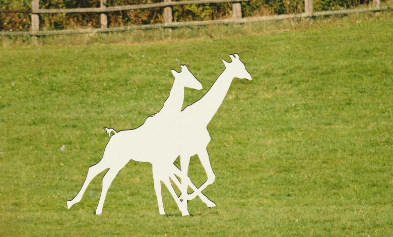 Two baby giraffes are missing. Alicia Silverstone and others want answers.