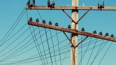 (UPDATE) Thousands hit by sweeping power outages in Fort St. John area