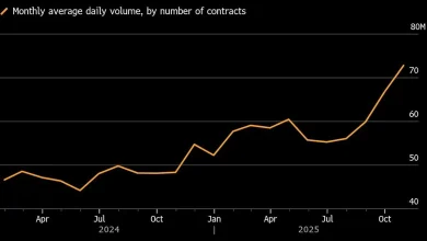 US Options Market Grapples With ‘Concentration Risk’ in Clearing