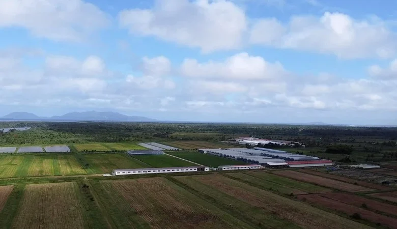 US Threatens to Cut Fiji Aid Over Impunity for Doomsday Cult