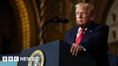 US launches 'powerful strikes' against Islamic State in Nigeria, says Trump