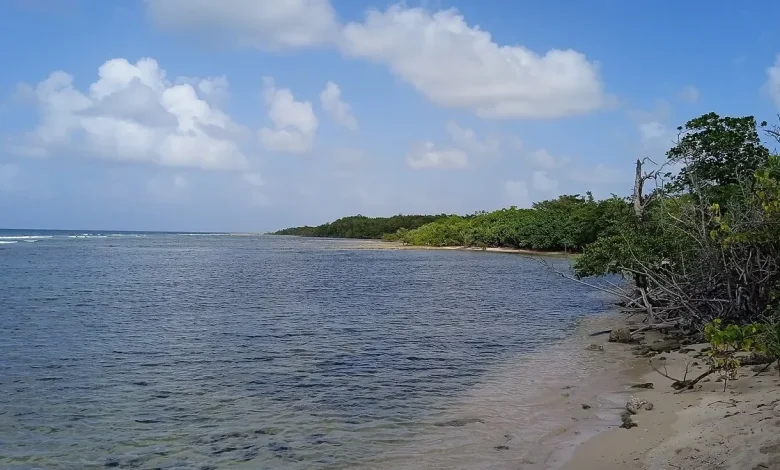 Un sexagénaire décède durant une randonnée à Anse-Bertrand