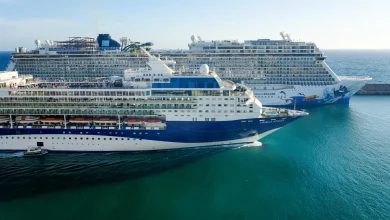 'Uncomfortable' footage of cruise ship sparks intense debate online: 'That can't be good'