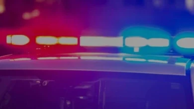 Unidentified human remains found in Pittsylvania County