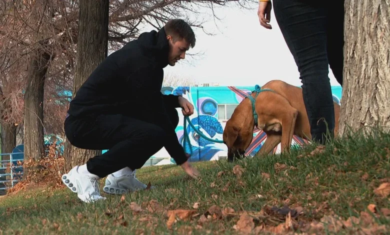 Utah Jazz big man swaps the court for cuddles at local pet adoption center