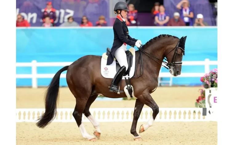 Valegro And Uthopia, British Dressage Stars, Have Died