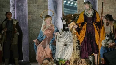 Vatican unveils Nativity scene, lights Christmas tree in St. Peter’s Square