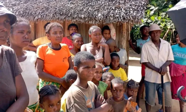 Vatomandry : Vers la transformation du litchi