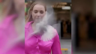 Video shows New Zealand news reporter get struck by seagull on camera