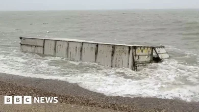Video shows containers from cargo ship was up on Sussex beach