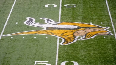 Vikings’ plane returns to airport after landing gear malfunctions