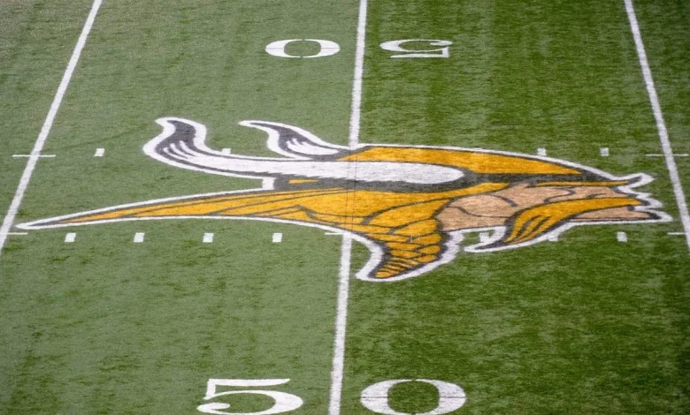 Vikings’ plane returns to airport after landing gear malfunctions