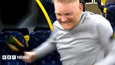 Violent bottle attack by drunk train passenger captured on CCTV
