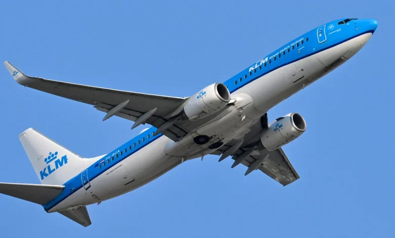 Virginia family says they were swarmed and bitten by bedbugs on flight, sue Delta and KLM airlines