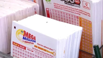 Virginia sees 81,000 winners; One ticket nets $1 million as powerball jackpot hits $1.1B